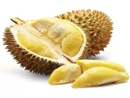 saurieng1