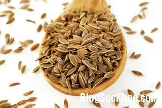 Công dụng tuyệt vời của hạt thì là