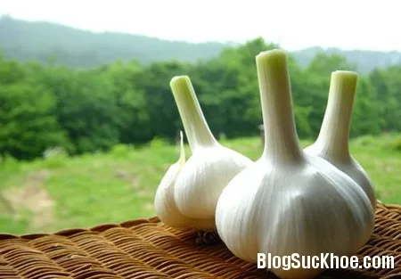 Những loại thực phẩm tăng cường sức đề kháng khi trời lạnh