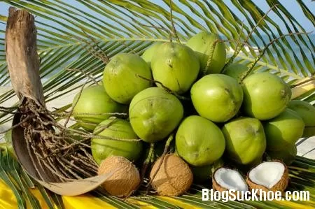 15 công dụng không ngờ của nước dừa