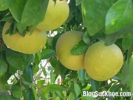 Làm đẹp tóc với bí quyết tự nhiên