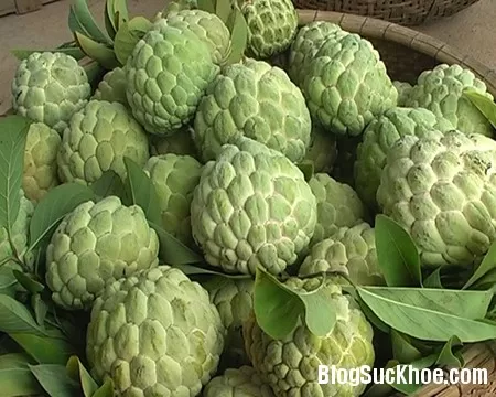 Công dụng chữa bệnh của quả na