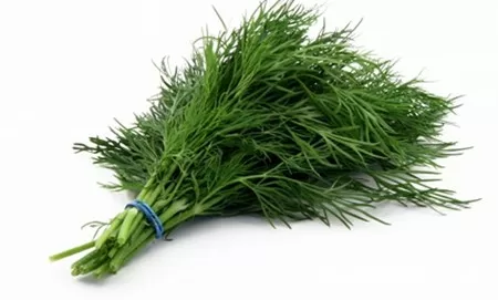 Bài thuốc dân gian từ rau thì là