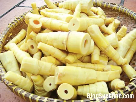 Dùng măng tre làm thuốc