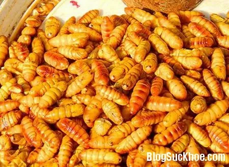 Con tằm làm thuốc bổ