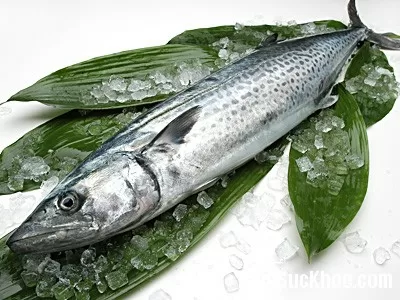 Ăn cá biển tốt cho sức khỏe