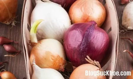 Kiểm soát nấm Candida bằng thực phẩm