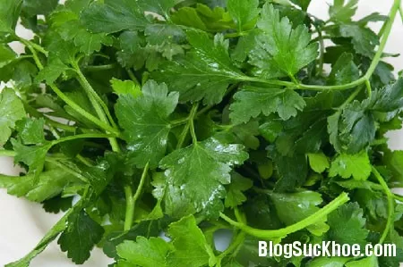 Rau mùi tây và 10 lợi ích chưa biết