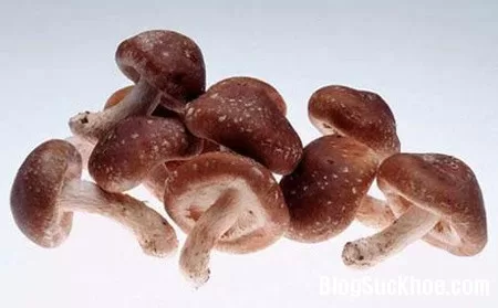 Nấm hương - "thần dược từ lòng đất"
