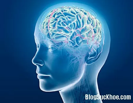 Cần sa giúp giảm triệu chứng xưng viêm trong bệnh Alzheimer