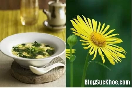 Cháo hoa cúc trị đau mắt đỏ