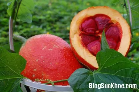 Mách bạn cách làm dầu gấc làm đẹp
