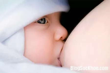 Bài thuốc chữa viêm tắc tia sữa