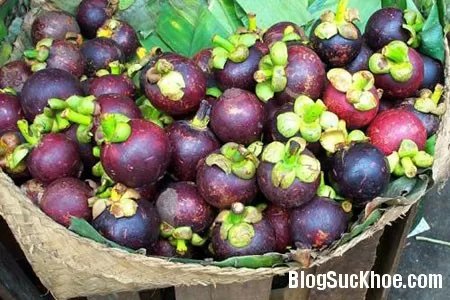 Bài thuốc từ quả măng cụt theo dân gian