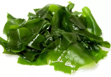 Giảm cân hiệu quả nhờ rong biển