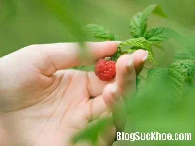 Để vượt qua nỗi đau khi chia tay với người yêu