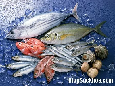 5 loại thức ăn chứa hàm lượng thạch tín cao
