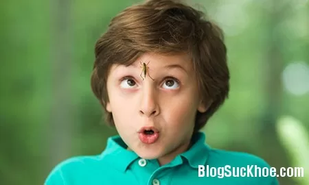 Ứng phó khi bị côn trùng đốt
