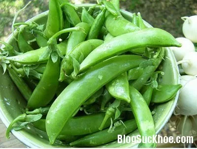 Lợi ích dinh dưỡng tuyệt vời từ đậu Hà Lan