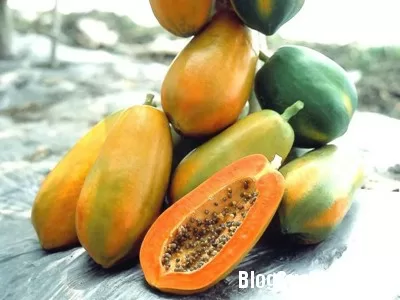 Các loại hoa quả càng ăn da càng đẹp