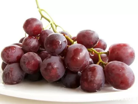 Ăn hạt nho giúp ngừa ung thư da