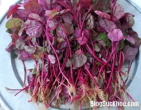 4 loại rau dinh dưỡng cao cho bé yêu