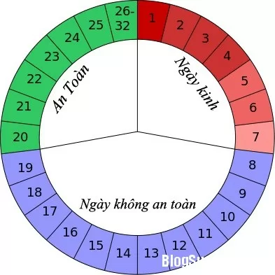 Chu kỳ kinh nguyệt ở phụ nữ
