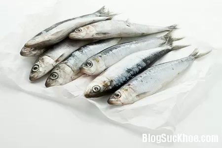 Cá mòi giàu dưỡng chất tốt cho xương