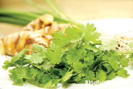 Rau mùi giúp chữa thủy đậu hiệu quả