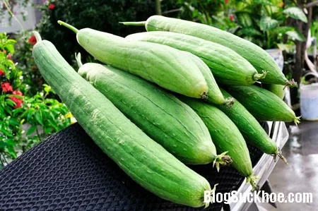 Món ăn thức uống trị viêm phế quản cấp tính