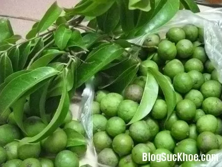 Quả sấu chữa ho cho trẻ em