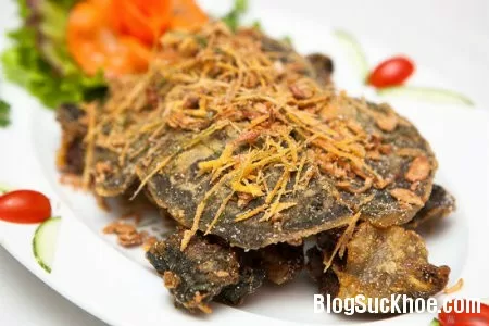 Những thực phẩm có hại tuyệt đối không nên dùng