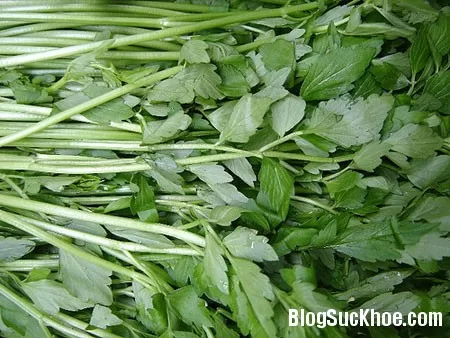 Rau cần chữa ho, viêm phế quản