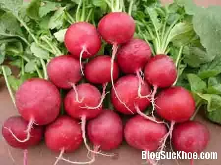 Bài thuốc chữa bệnh từ củ cải