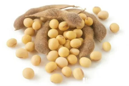 Những thực phẩm dễ gây dị ứng cho bé