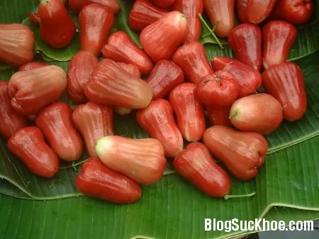 Những loại trái cây giàu axit citric