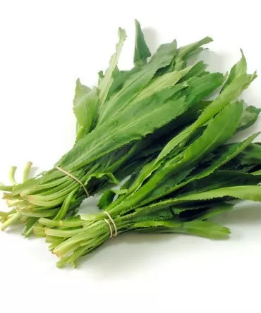 Úng dụng chữa bệnh của mùi tàu