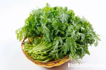 Chữa đau đầu bằng rau cải cúc