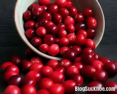 10 công dụng chữa bệnh từ trái nam việt quất