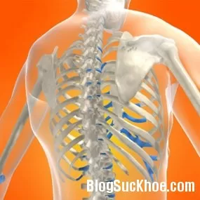 8 sự thật bất ngờ về testosterone