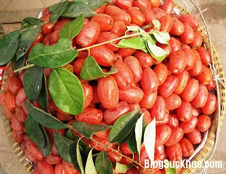 Làm thuốc từ cây nhót