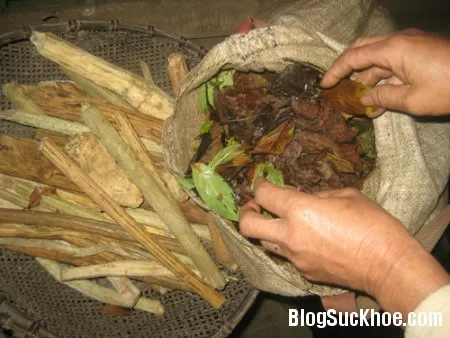 Bài thuốc chữa vô sinh đơn giản hiệu quả