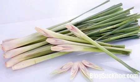 Tinh dầu sả triệt tiêu tế bào ung thư