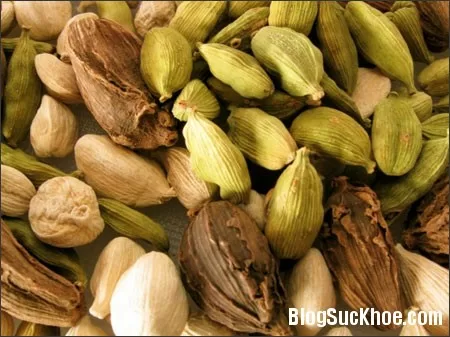 Bài thuốc từ cây bạch đậu khấu