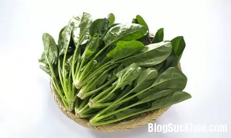 Công dụng của cải bó xôi