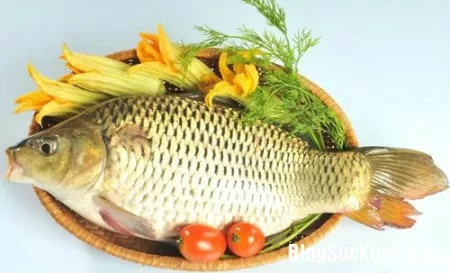 Món ăn bài thuốc từ cá chép