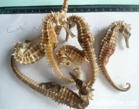 Món ăn chữa bệnh "giao hợp không xuất tinh"