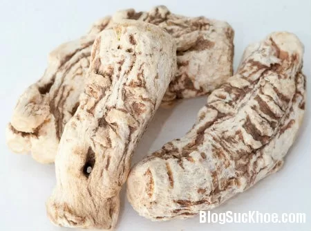 Đương quy - Thánh dược bổ huyết