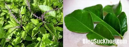 Một số điều cần lưu ý khi xông lá trị cảm