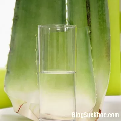 nuoc lo hoi
